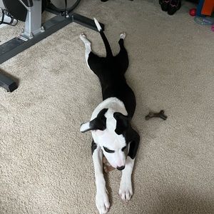 Meet your Posher, Daniel